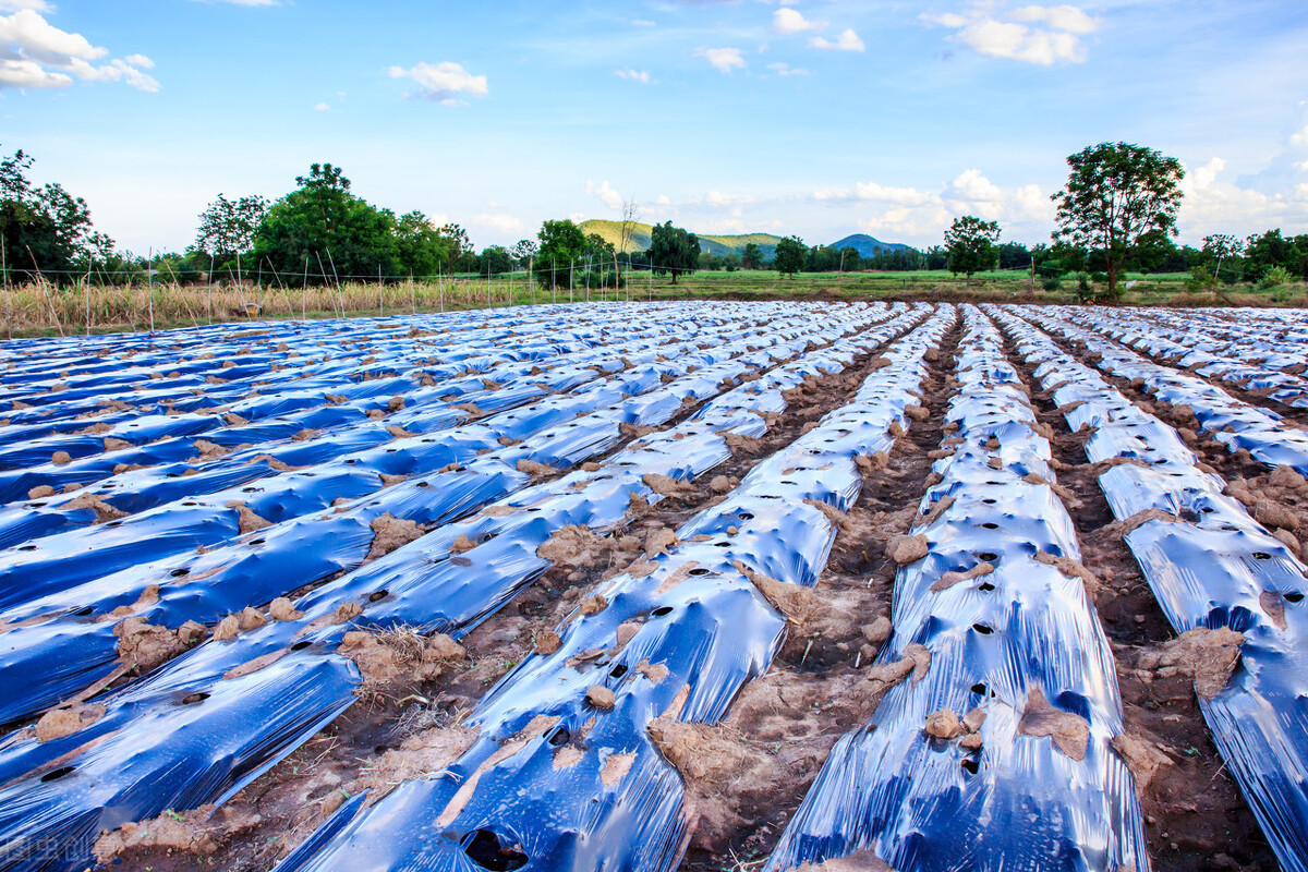 GB13735-2017聚乙烯吹塑農(nóng)用地面覆蓋薄膜測(cè)試項(xiàng)目及儀器介紹